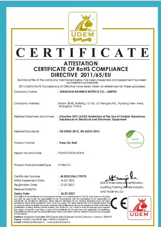 24 PCS Aurora Powder Nail Art